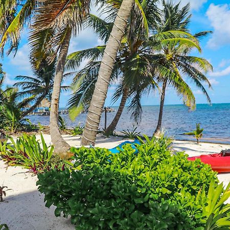 Blue Water Beach Villas サン・ペドロ 部屋 写真