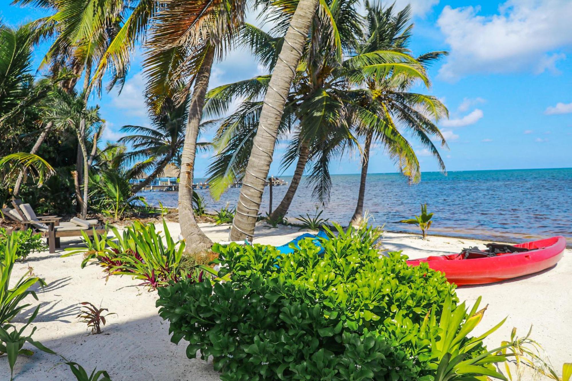 Blue Water Beach Villas サン・ペドロ 部屋 写真