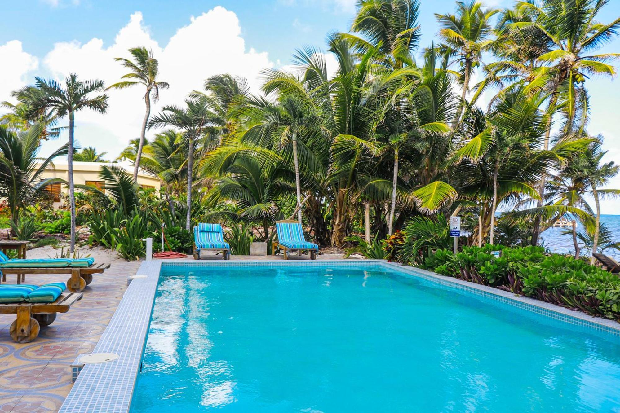 Blue Water Beach Villas サン・ペドロ 部屋 写真