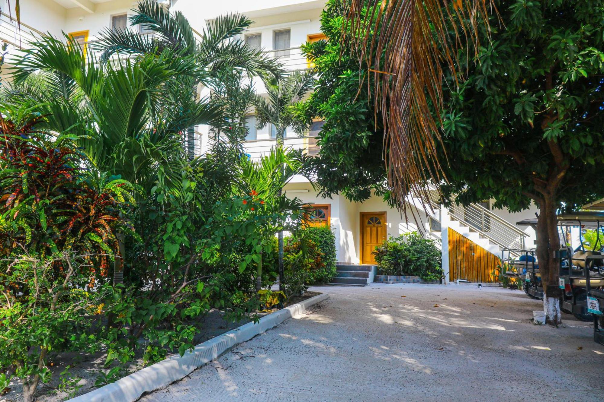 Blue Water Beach Villas サン・ペドロ 部屋 写真