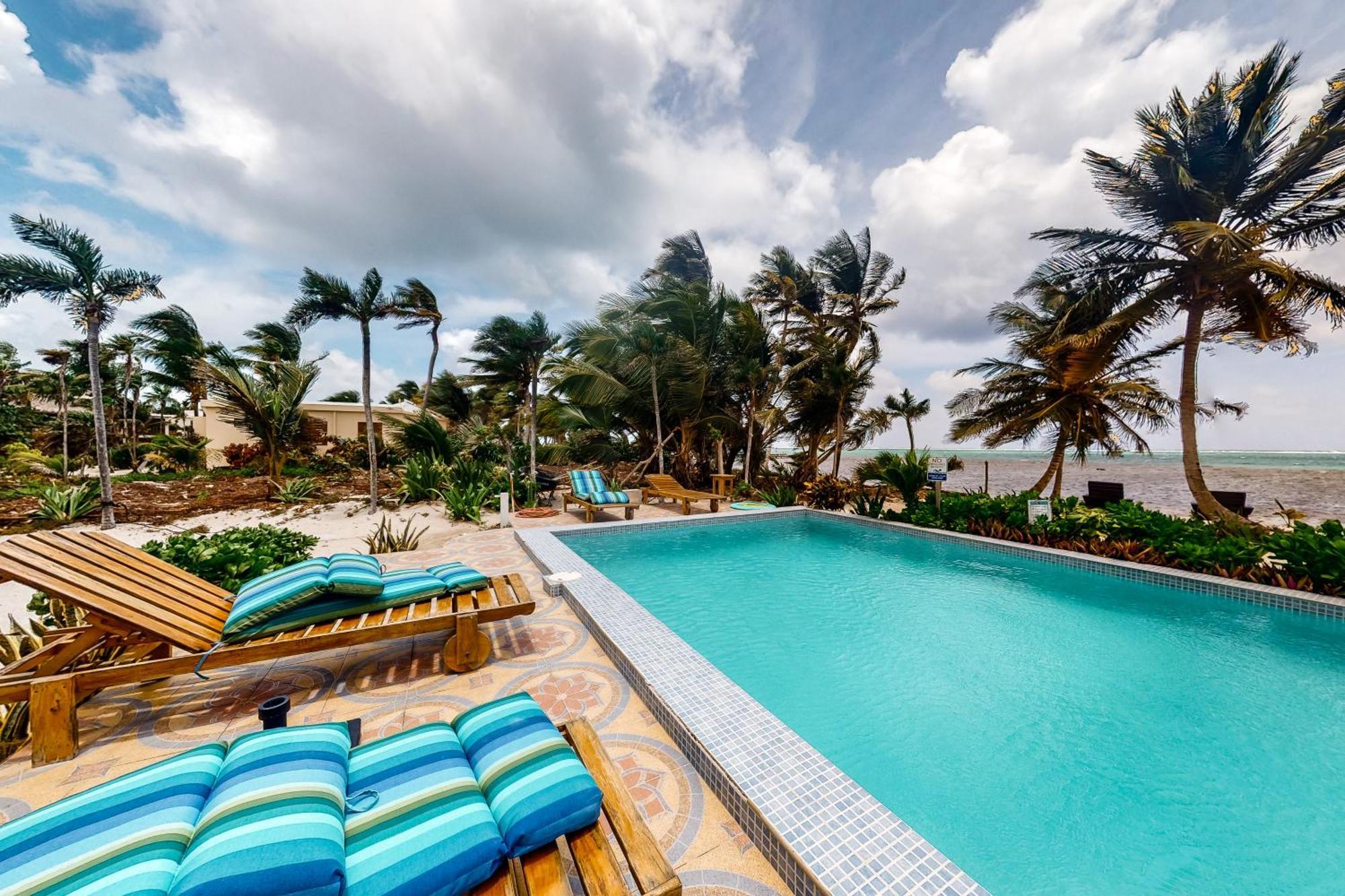 Blue Water Beach Villas サン・ペドロ 部屋 写真