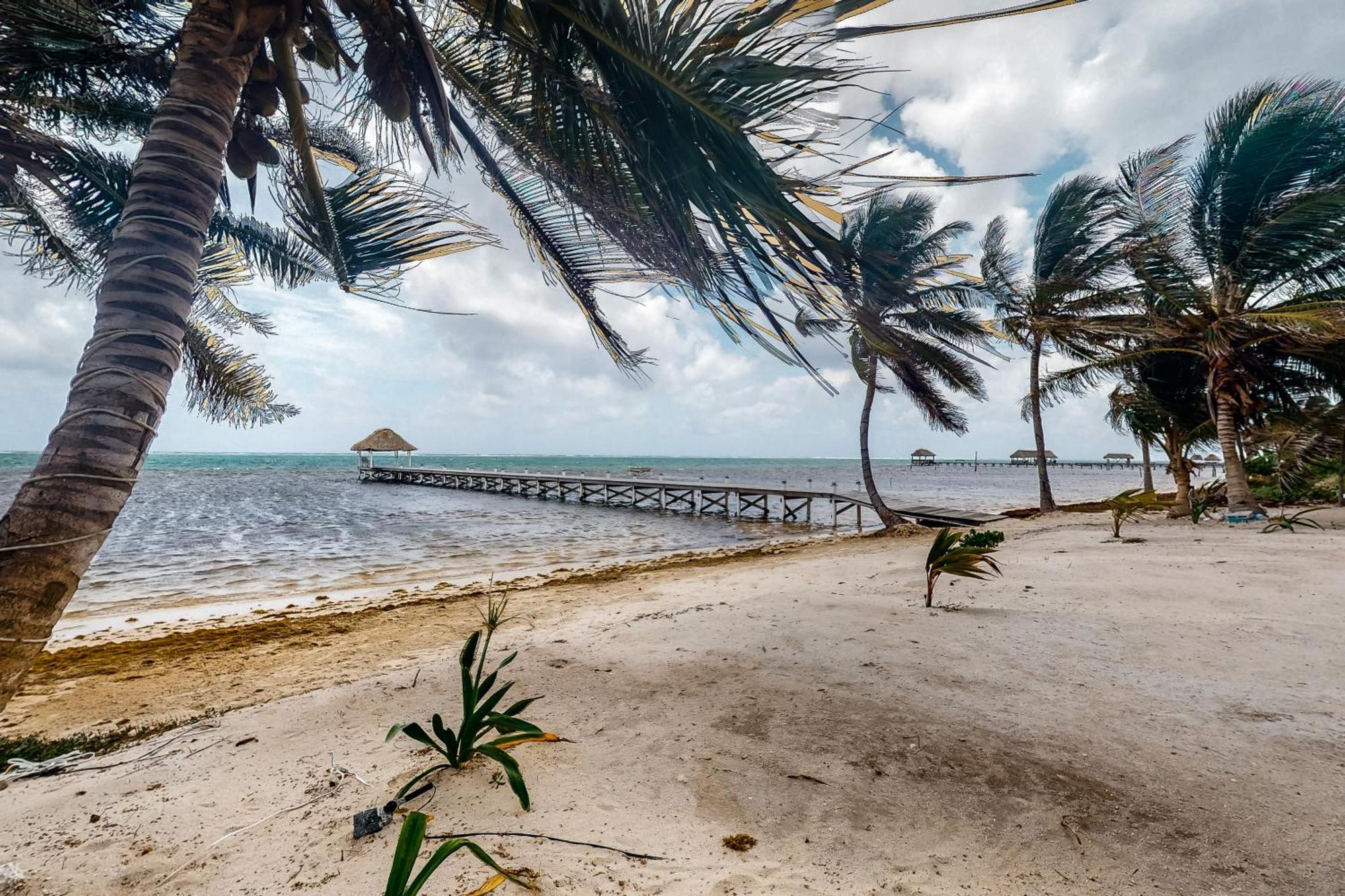 Blue Water Beach Villas サン・ペドロ 部屋 写真