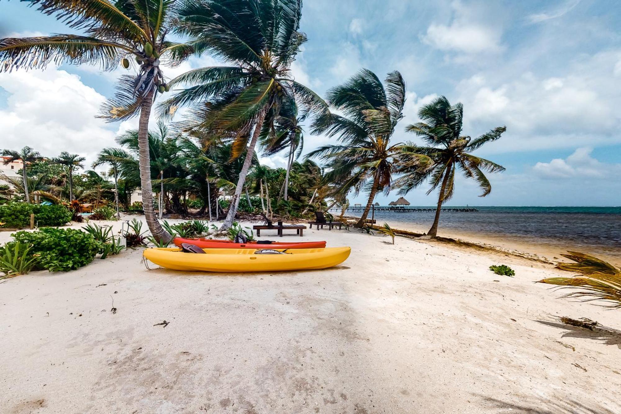 Blue Water Beach Villas サン・ペドロ 部屋 写真