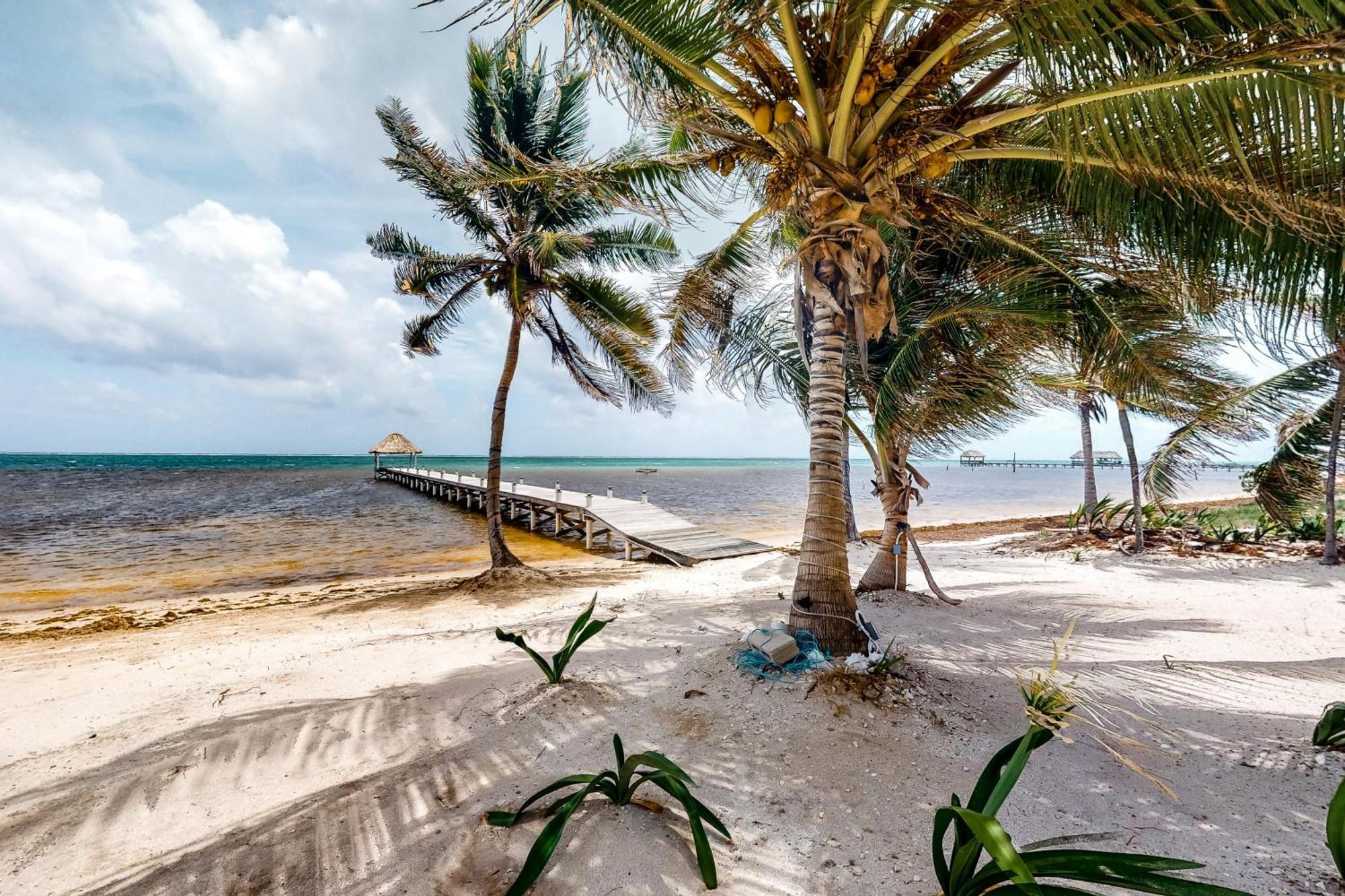 Blue Water Beach Villas サン・ペドロ 部屋 写真